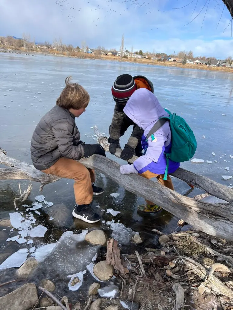 Children playing together by a lake