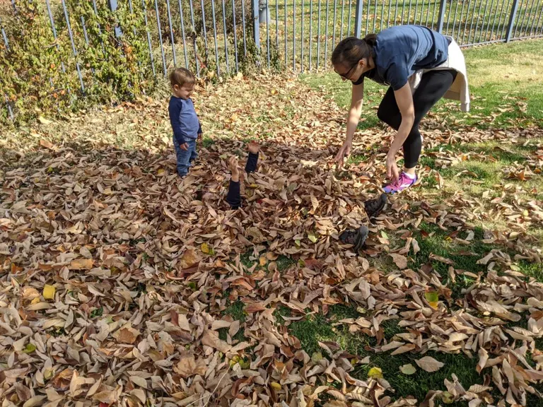Children playing in a pile of autumn leaves